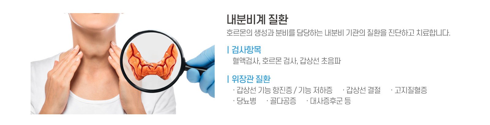 내분비계.jpg