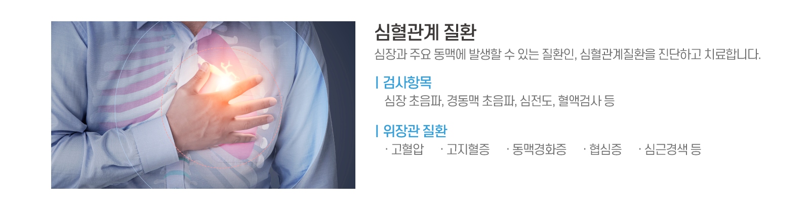 심혈관계.png