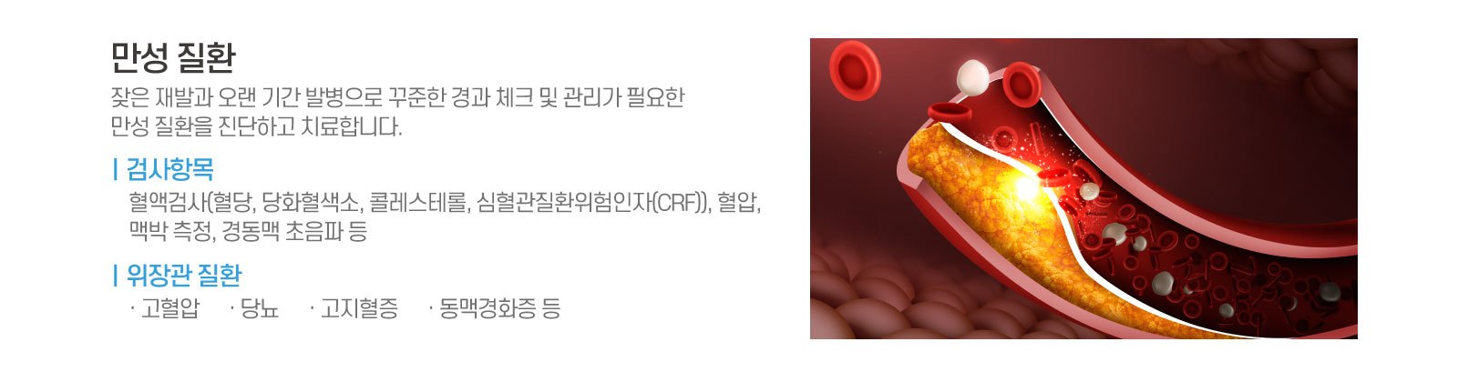 만성질환.jpg